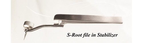 Root File