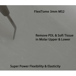 FlexiTome MS2 3mm