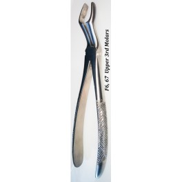 F6 Upper 3rd Molar