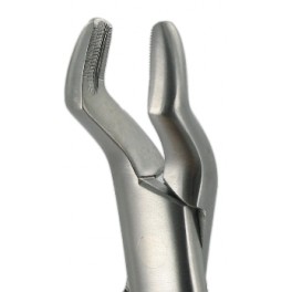10S  Upper Molars Straight Handle