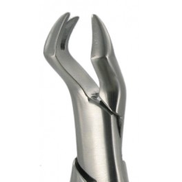 88R  Upper Molars  Right