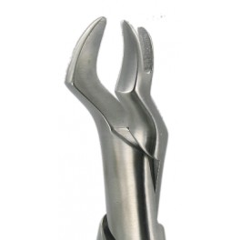 88L  Upper Molars Left