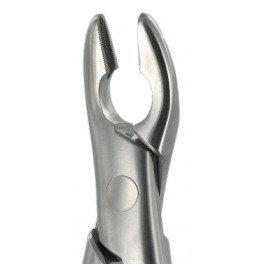 150A  Upper PreMolars Incisors