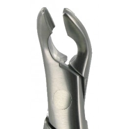151A  Lower PreMolars