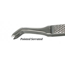 ALBRECHT 16 cm  Pointed