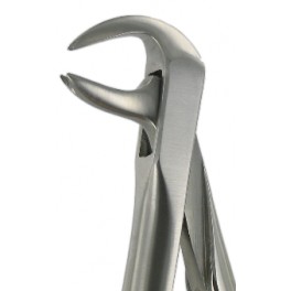 F10 Lower Molars