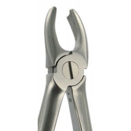 F14 Upper Molar Left