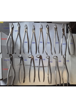 Junior Extraction Forceps Junior Extraction Forceps