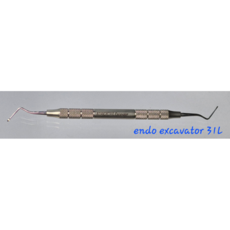 exc 31l