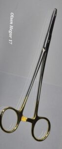 olsen hegar 17